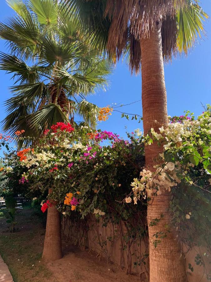 Les Terrasses du Lac Marrakech Lalla Takerkoust Extérieur photo
